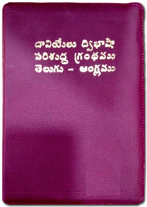 Daniel Telugu English Bilingual Bible with Zip – EachDayKart