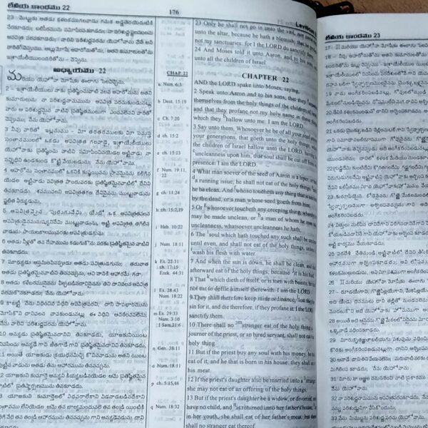 Daniel Telugu English Bilingual Bible – EachDayKart