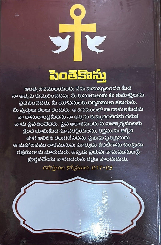 Promise diary Large size for 2024 in Telugu | Telugu christian books