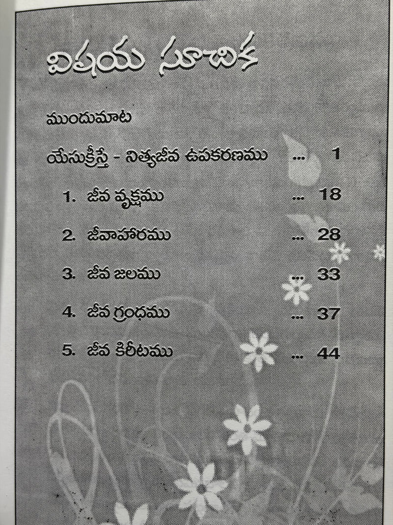 Nithyajeevapu Jeevakiranamulu By Rev M M Raj Paul Telugu Christian Book EachDayKart