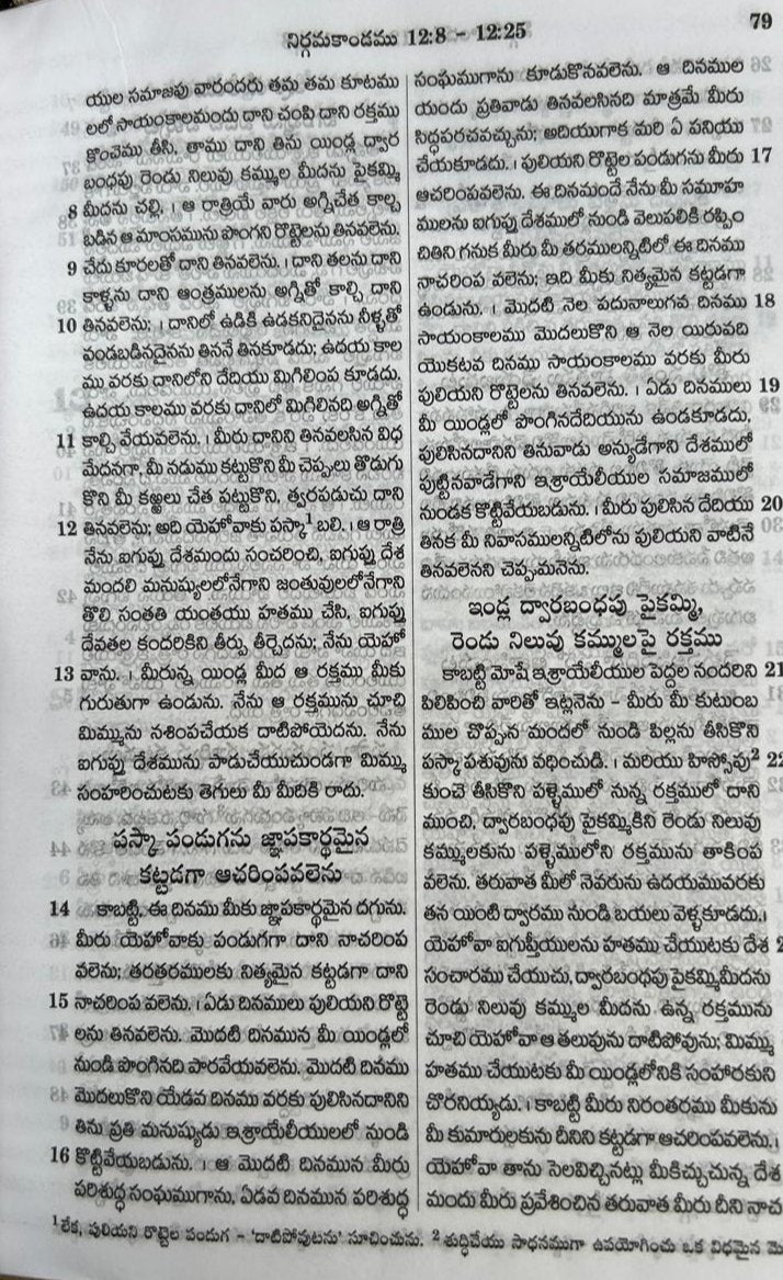 Telugu bible Black color Leather bound with zip by CTBR | Telugu Bibles | Telugu christian books - EachDayKart