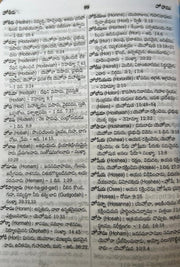 Telugu bible Black color Leather bound with zip by CTBR | Telugu Bibles | Telugu christian books - EachDayKart