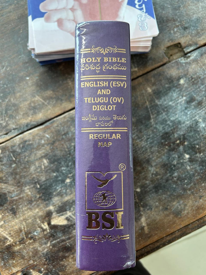 Holy Bible English–Telugu Diglot (ESV & O.V.) | Purple Leatherette Cover | Eachdaykart