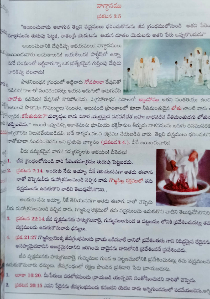 An Analysis of Book of Revelation Rev. Acharya Chaghanti Sri Viluvaganti | Telugu Christian books