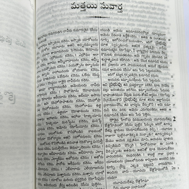 Telugu Holy Bible | Telugu O.V. 2021 | BSI Version | Semi Compact Paperback