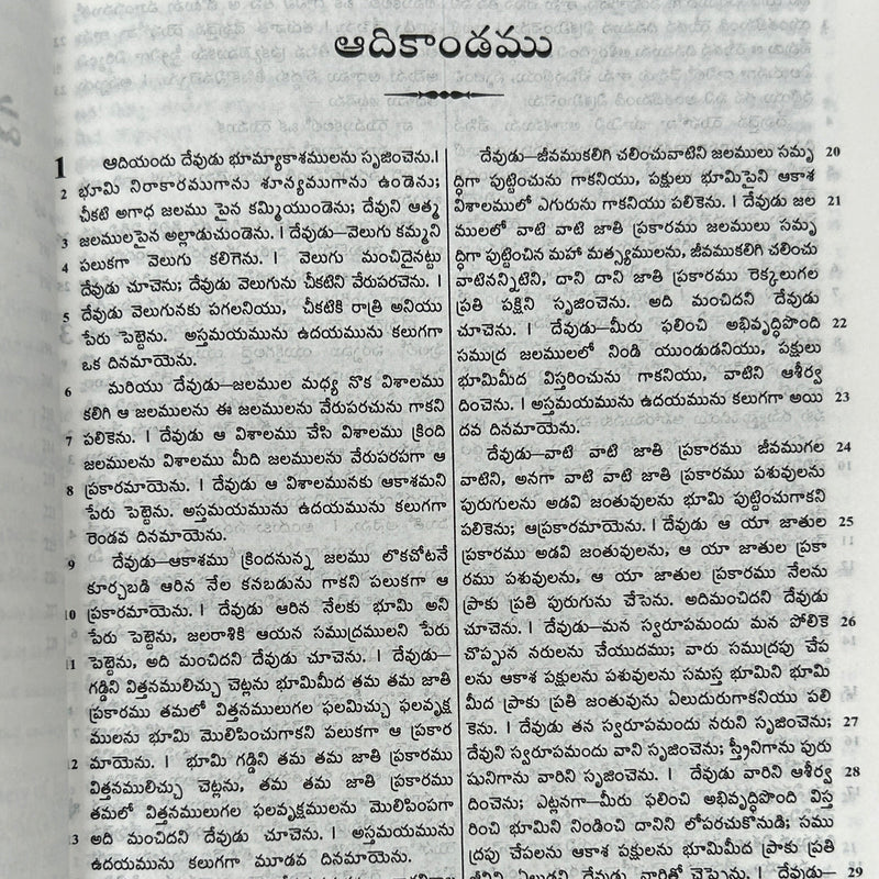 Telugu Holy Bible | Telugu O.V. 2021 | BSI Version | Semi Compact Paperback