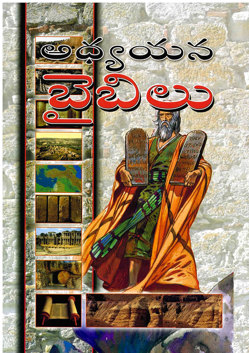 Telugu Study Bible Hardcover by Bible Society of India in Telugu
