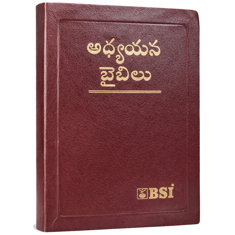 Telugu Study bible by the bible society of India Version - Telugu study Bibles