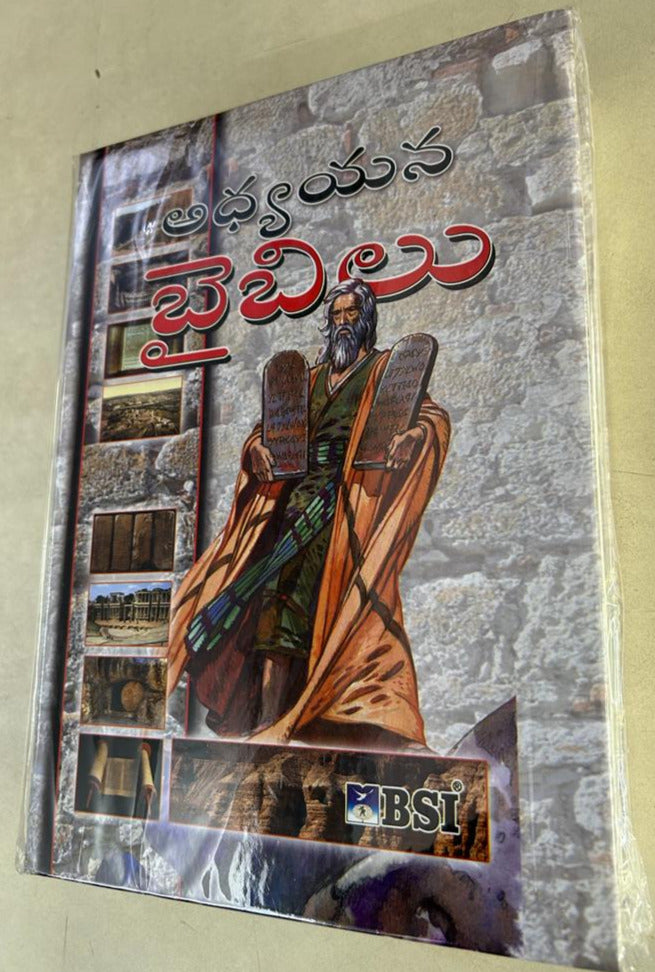 Telugu Study Bible by BSI - Telugu Study Bibles - Telugu christian books