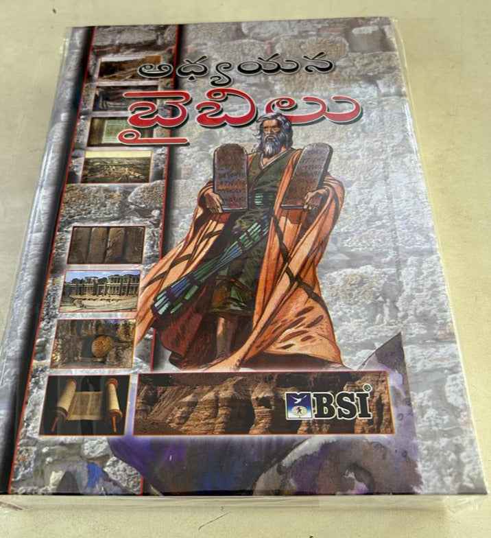 Telugu Study Bible by BSI - Telugu Study Bibles - Telugu christian books - EachDayKart