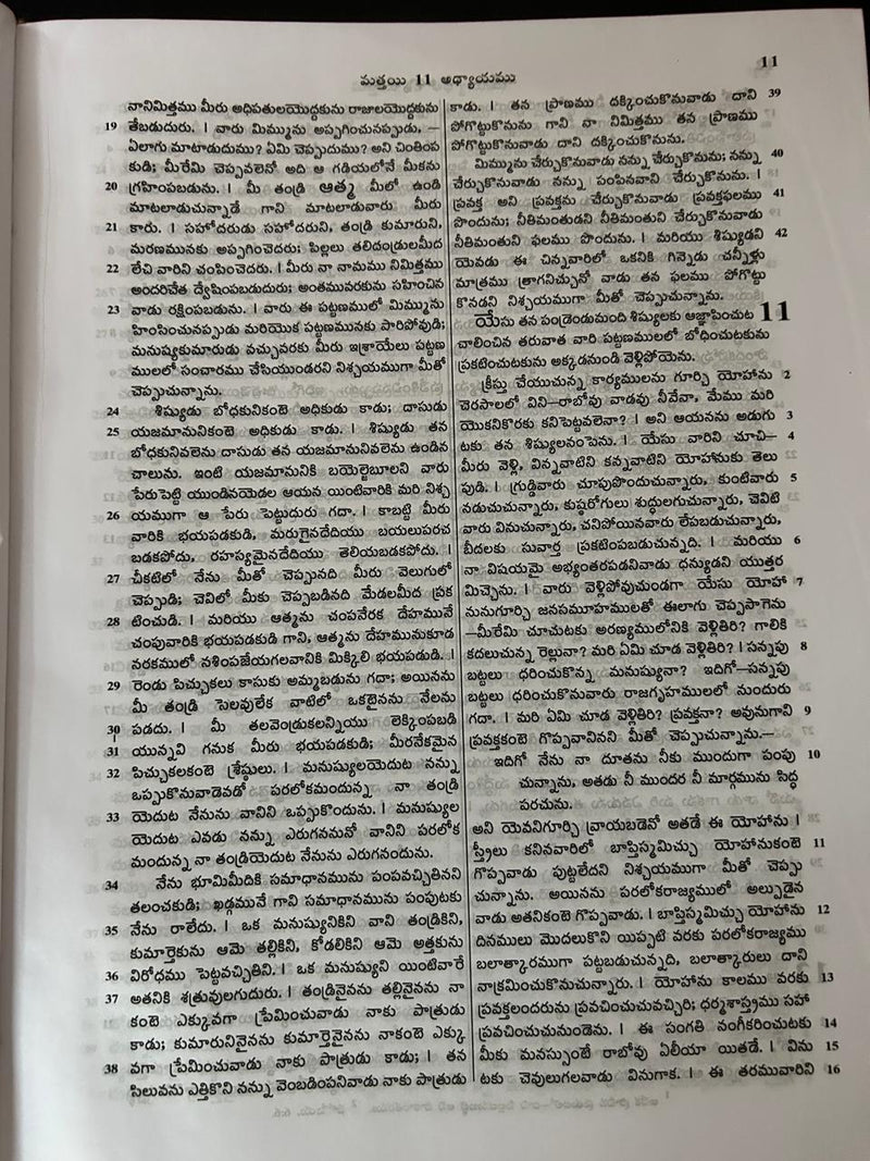 New Testament Bible in Telugu by BSI - Telugu Bibles