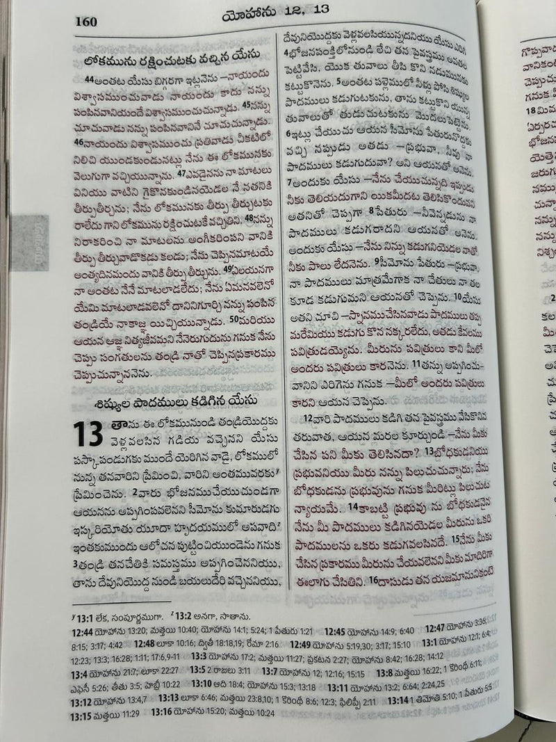 Telugu Bible OV Enhanced Red Letter Edition | BSI Version 2026 Reference Bible | Burgundy PU Soft Leatherbound | Old & New Testament