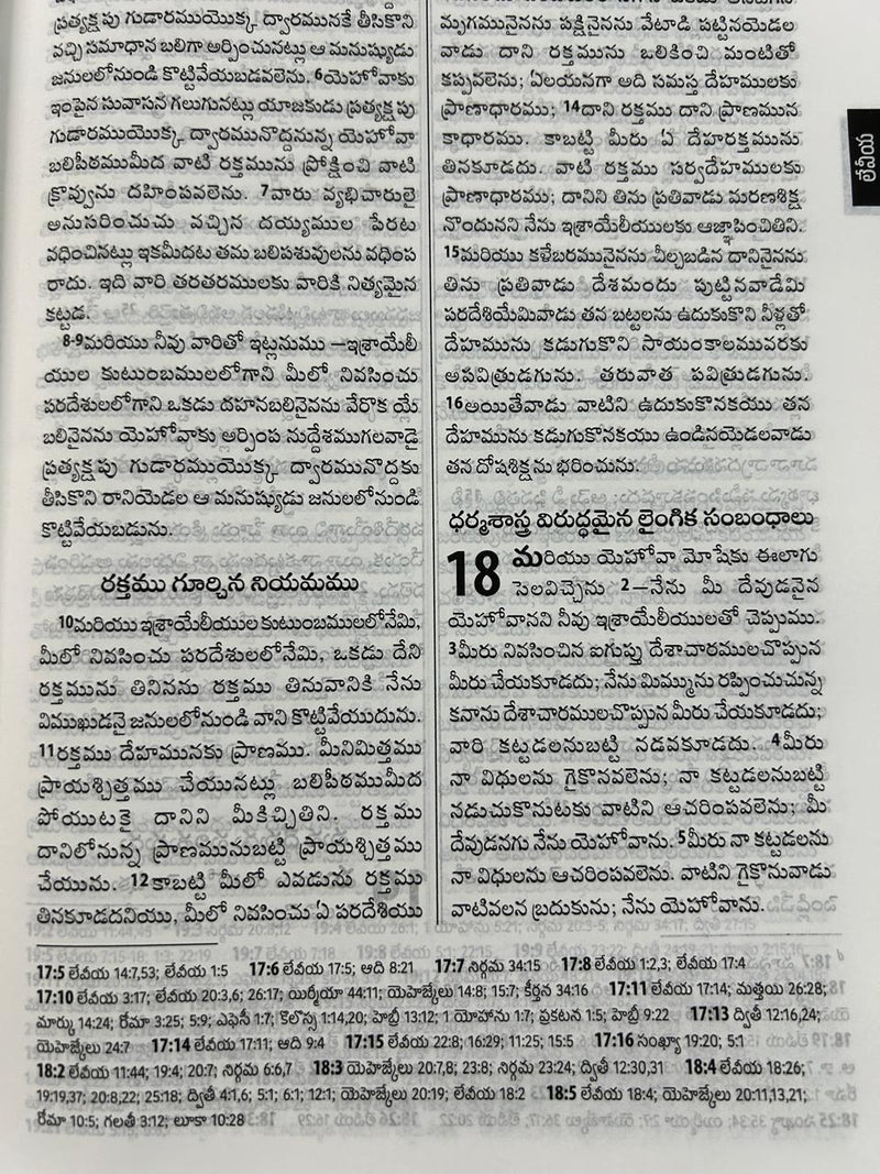 Telugu Bible OV Enhanced Red Letter Edition | BSI Version 2026 Reference Bible | Burgundy PU Soft Leatherbound | Old & New Testament