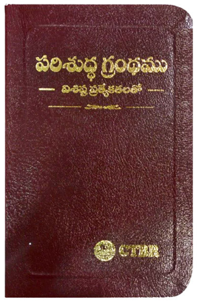 CTBR Pocket Size Telugu Bible – Black Leather Bound with Zip | Christian Books