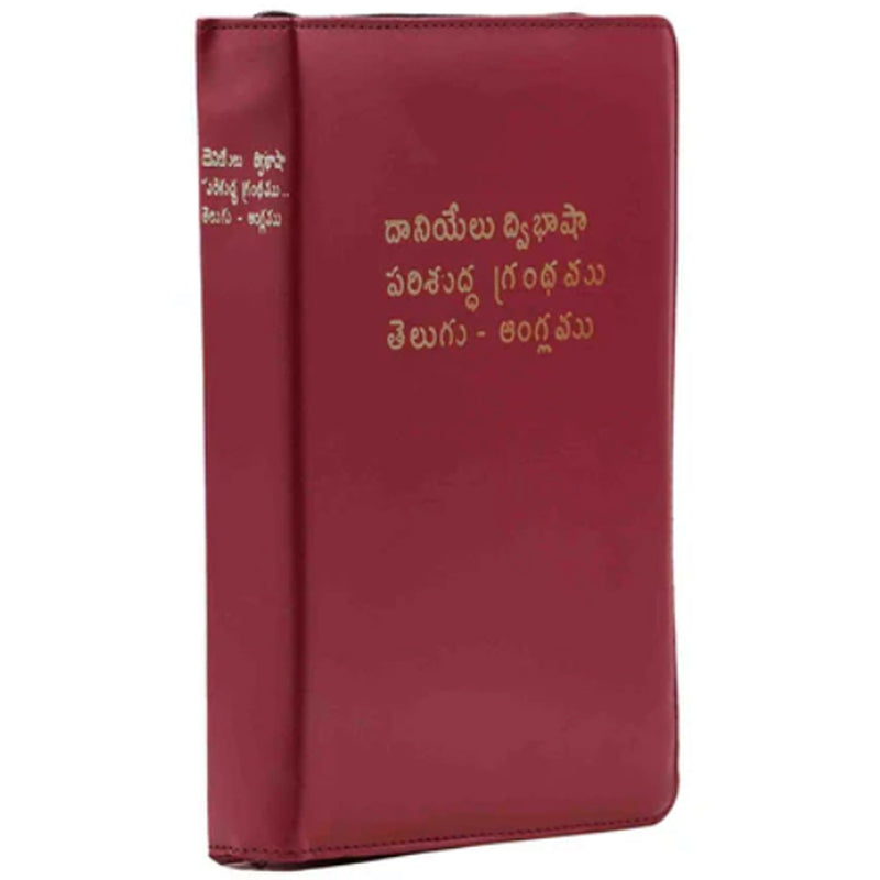 Daniel Telugu English Bilingual Bible – EachDayKart
