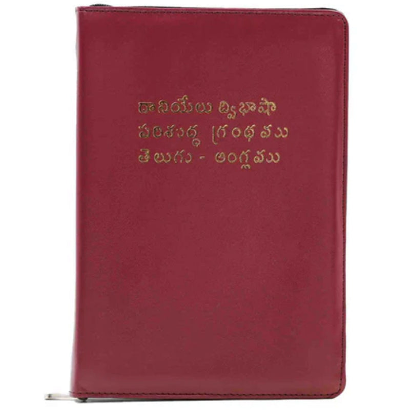 Daniel Telugu English Bilingual Bible – EachDayKart