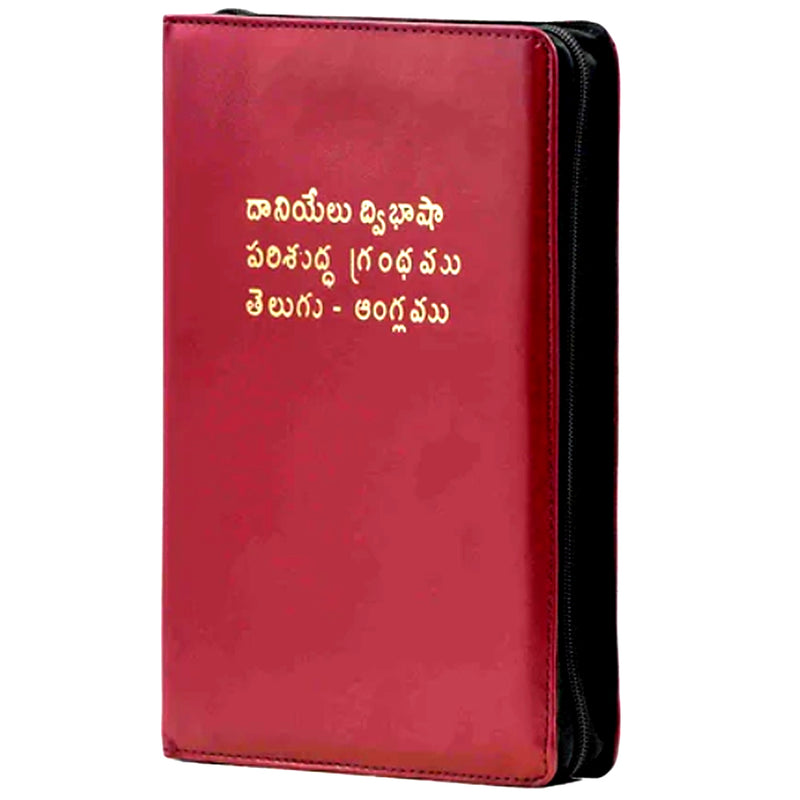 Daniel Telugu English Bilingual Bible – EachDayKart