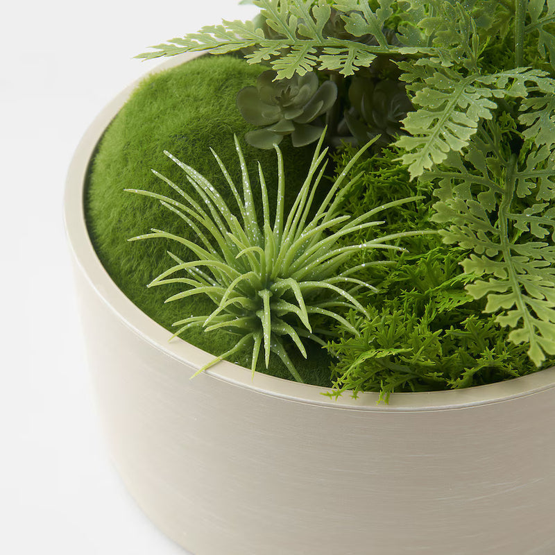IKEA FEJKA Artificial potted plant, moss
