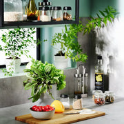 IKEA 365+ IHARDIG Spice jar, glass/black, | Spice & condiment stands | Storage & organisation | Eachdaykart - EachDayKart