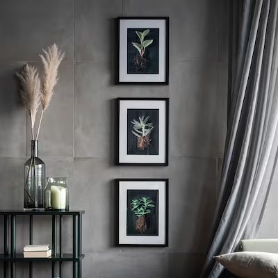 IKEA RIBBA Frame, black | IKEA Picture & photo frames | IKEA Frames & pictures | Eachdaykart