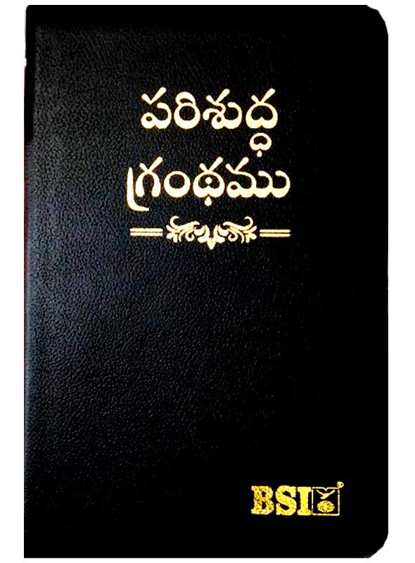 Telugu Senior Citizen bible Zipper (Amity) | Telugu senior citizen bibles | Telugu bibles