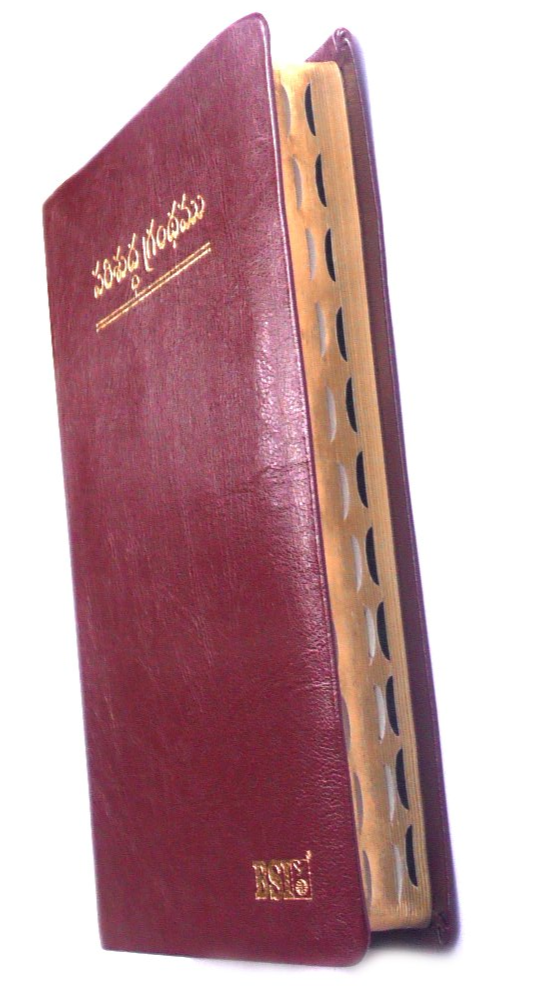 Holy bible telugu korean giant print leather cover gold edge thumb index by bsi - EachDayKart