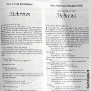 Todays parallel bible kjv niv nasb nlt by zondervan - EachDayKart