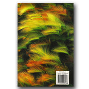 Dake Annotated Reference Bible by Finis Jennings Dake - KJV (Hardcover) – English bibles - EachDayKart