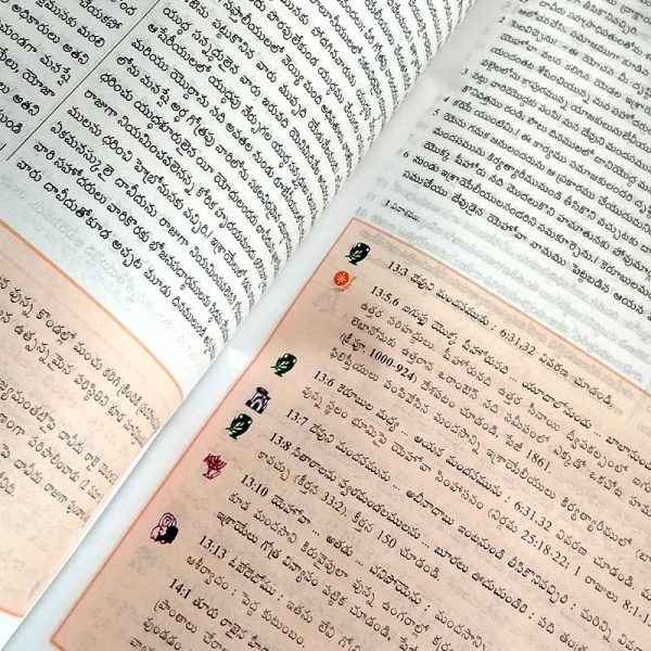 Telugu Study bible by the bible society of India Version - Telugu study Bibles - EachDayKart