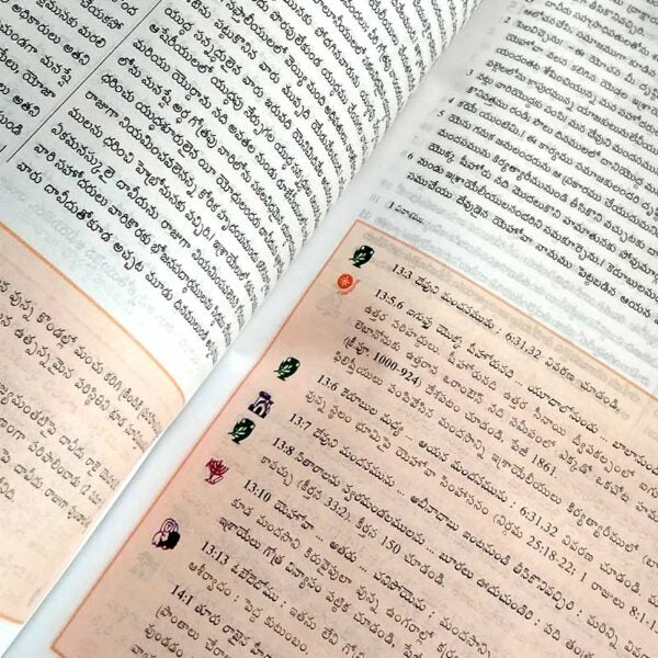 Telugu Study Bible By BSI Version – Telugu Bibles – Telugu study Bibles – Telugu christian Books - EachDayKart