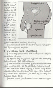 Answer for your Marriage by Bruce and Britten in Telugu  దాంపత్య జీవితం - EachDayKart