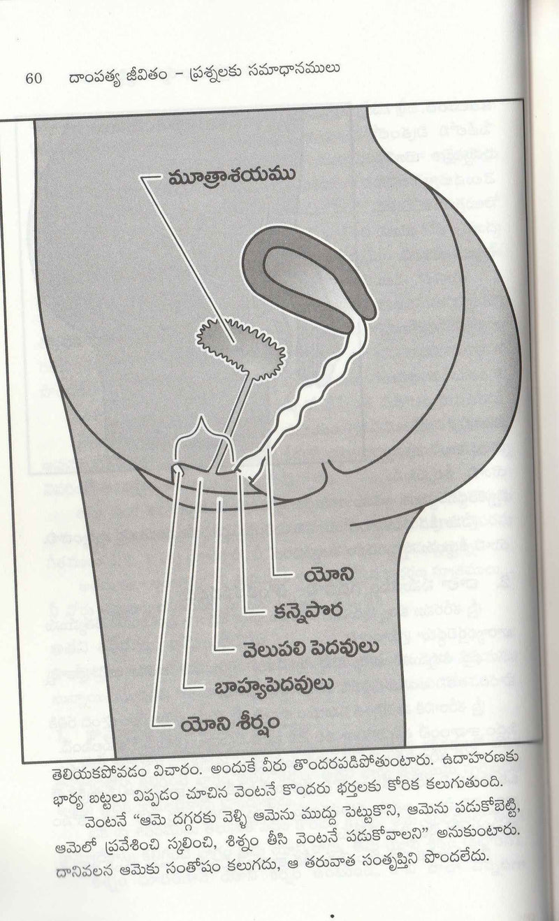 Answer for your Marriage by Bruce and Britten in Telugu  దాంపత్య జీవితం - EachDayKart