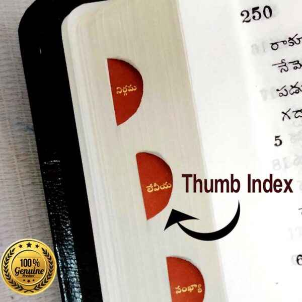 Holy bible telugu korean giant print leather cover gold edge thumb index by bsi - EachDayKart