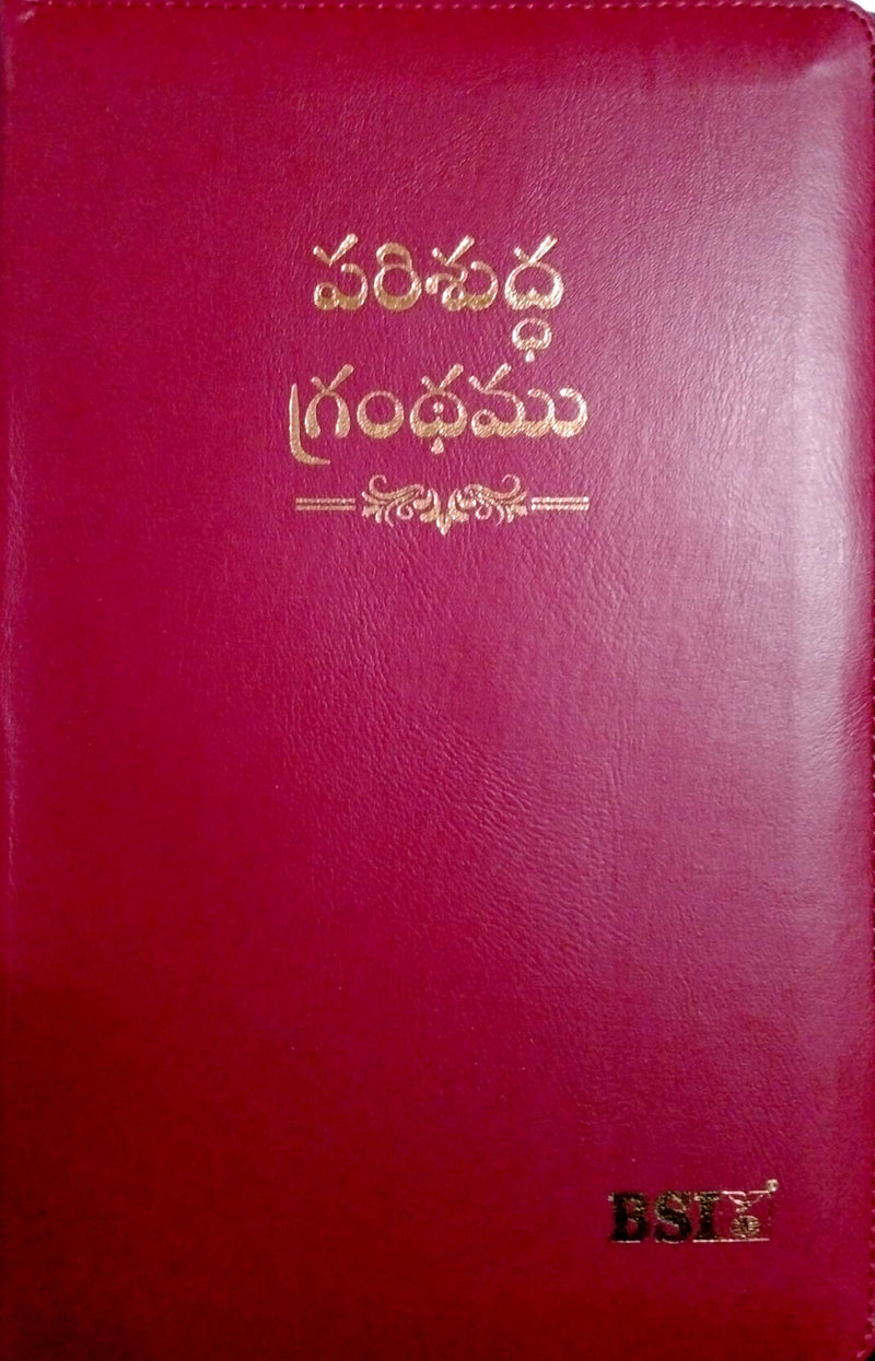 Telugu Bible Amity with Concordance | Telugu Amity Bibles | Telugu Bibles - EachDayKart