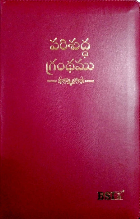 Telugu Bible Amity with Concordance | Telugu Amity Bibles | Telugu Bibles