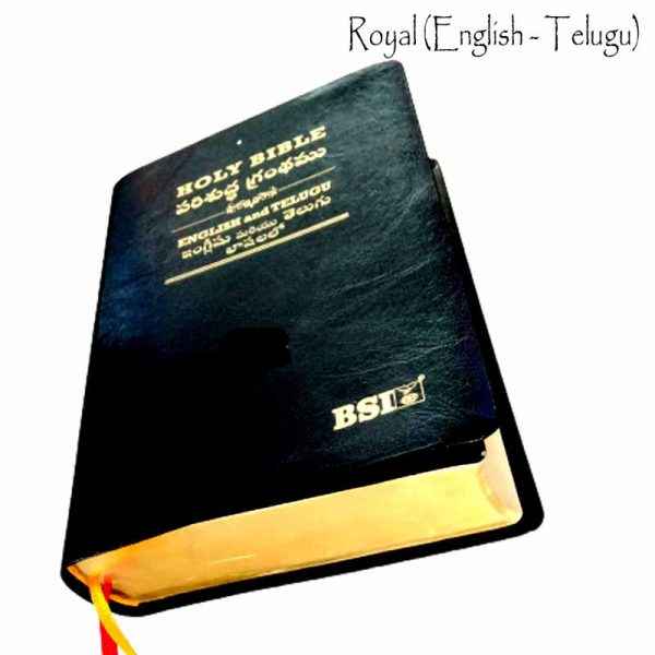 Telugu English Royal Diglot bible Korean Print with Leather By BSI | Telugu Bibles | Telugu Koran Print Bibles - EachDayKart