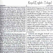 Telugu English Royal Diglot bible Korean Print with Leather By BSI | Telugu Bibles | Telugu Koran Print Bibles - EachDayKart
