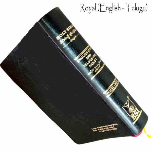 Telugu English Royal Diglot bible Korean Print with Leather By BSI | Telugu Bibles | Telugu Koran Print Bibles - EachDayKart