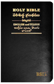 Telugu English Royal Diglot bible Korean Print with Leather By BSI | Telugu Bibles | Telugu Koran Print Bibles - EachDayKart
