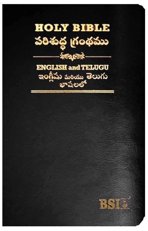 Telugu English Royal Diglot bible Korean Print with Leather By BSI | Telugu Bibles | Telugu Koran Print Bibles - EachDayKart