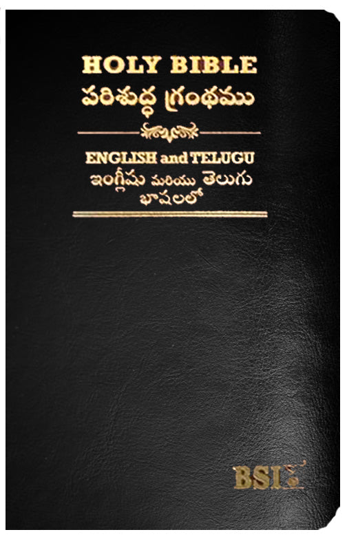 Telugu English Royal Diglot bible Korean Print with Leather By BSI | Telugu Bibles | Telugu Koran Print Bibles
