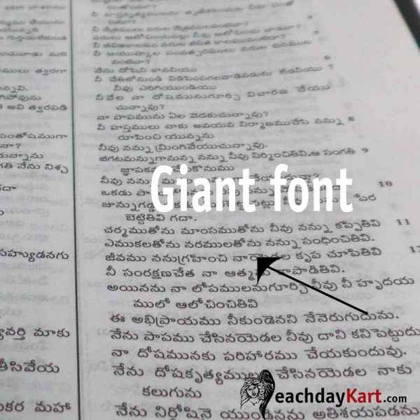 Senior Citizen bible Giant print with zip-Telugu - Telugu Bibles - Senior Citizen Bibles - EachDayKart