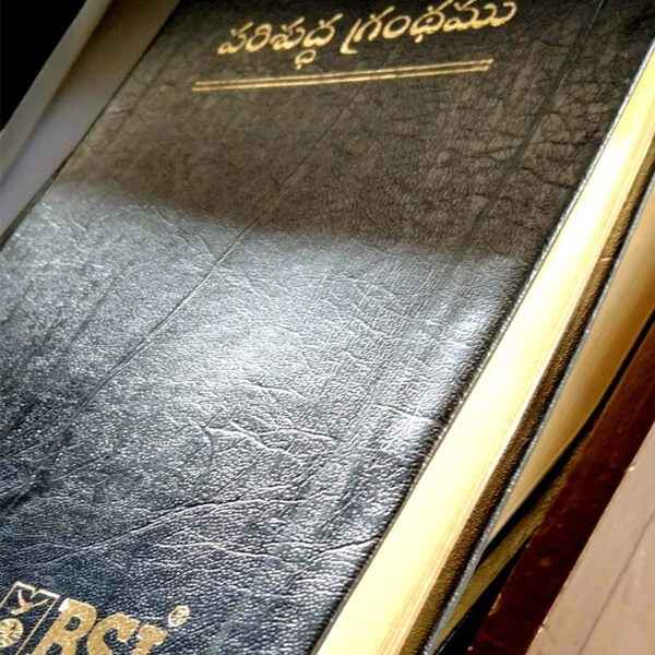 The Holy Bible in Telugu – Printed Thumb Index – OV-(N.F) – Leather Cover – By The Bible Society of india – Telugu christian books - EachDayKart