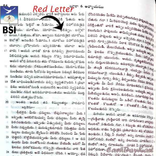 The Holy Bible Telugu (OV- NF)(Red Latter) – Classic Plus PL – Yaap RL – Leatherbound by BSI – Telugu Bibles - EachDayKart