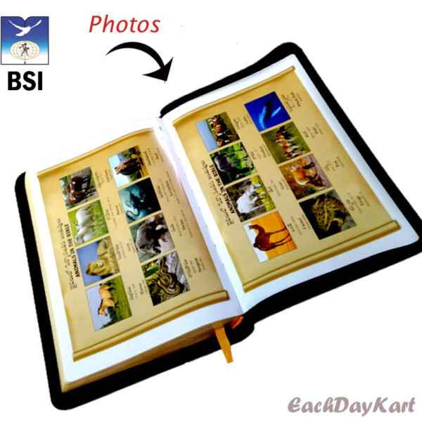 The Holy Bible Telugu (OV- NF)(Red Latter) – Classic Plus PL – Yaap RL – Leatherbound by BSI – Telugu Bibles - EachDayKart