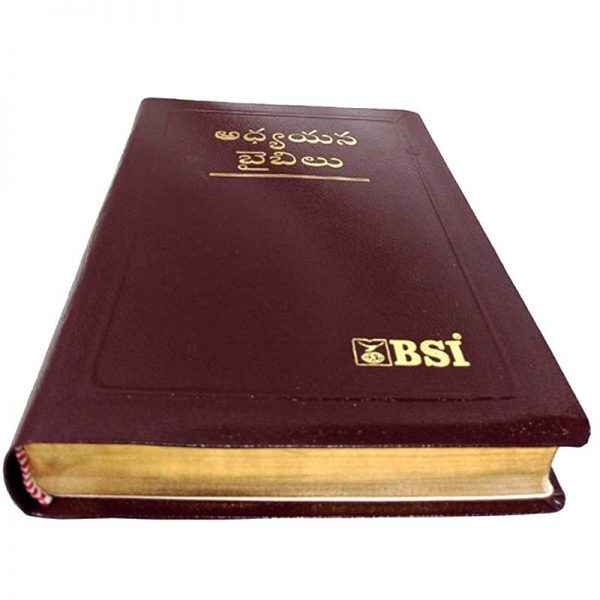 Telugu Study bible by the bible society of India Version - Telugu study Bibles - EachDayKart