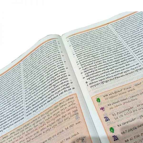 Telugu Study bible by the bible society of India Version - Telugu study Bibles - EachDayKart