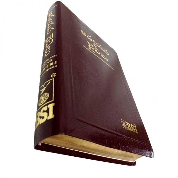 Telugu Study bible by the bible society of India Version - Telugu study Bibles