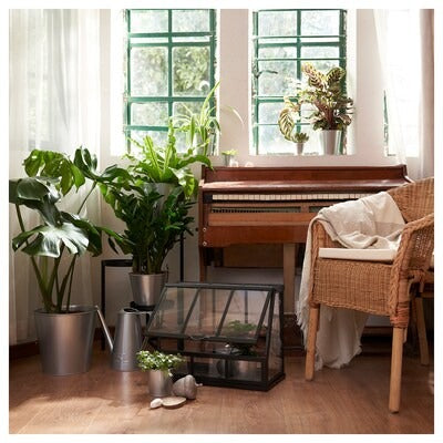 IKEA AKERBAR Greenhouse, in/outdoor/anthracite | IKEA Growing accessories | IKEA Plants & flowers | IKEA Decoration | Eachdaykart - EachDayKart