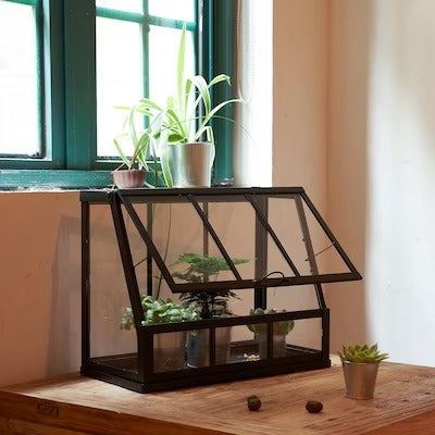 IKEA AKERBAR Greenhouse, in/outdoor/anthracite | IKEA Growing accessories | IKEA Plants & flowers | IKEA Decoration | Eachdaykart - EachDayKart